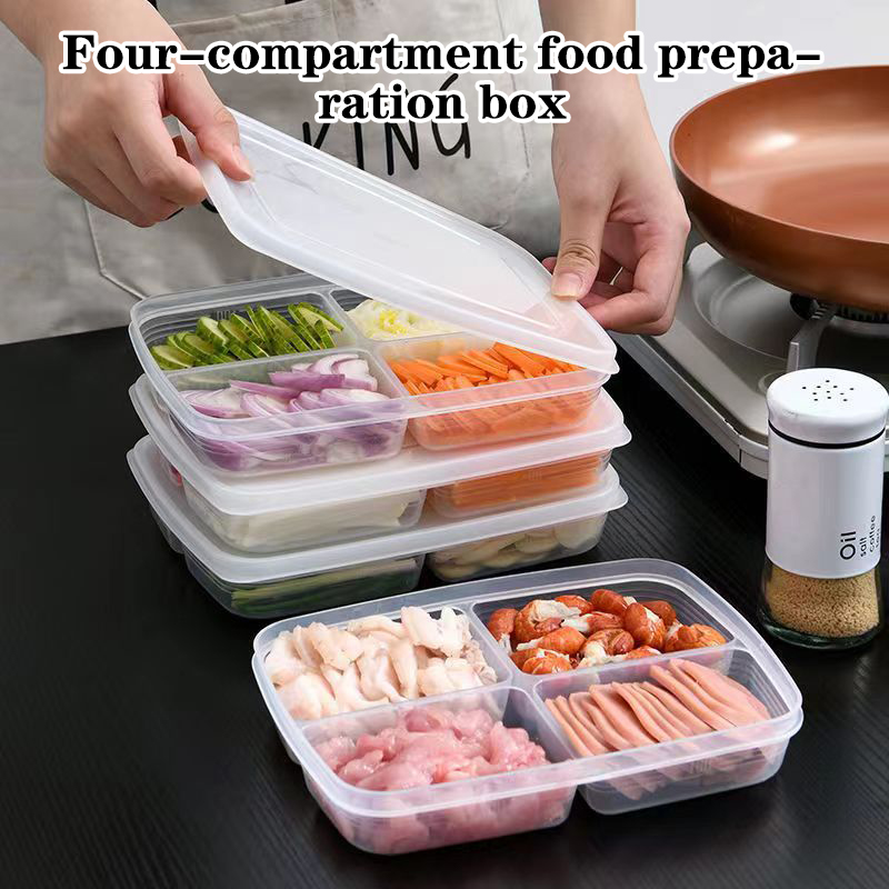 Food Storage Safe - New【4 Grids Plastic Storage Box Portable