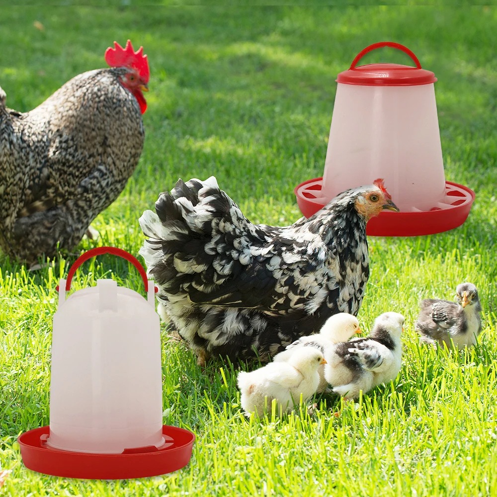 3kg+3L Poultry Feeder And Wate - огляд і ціна Portion Control Container