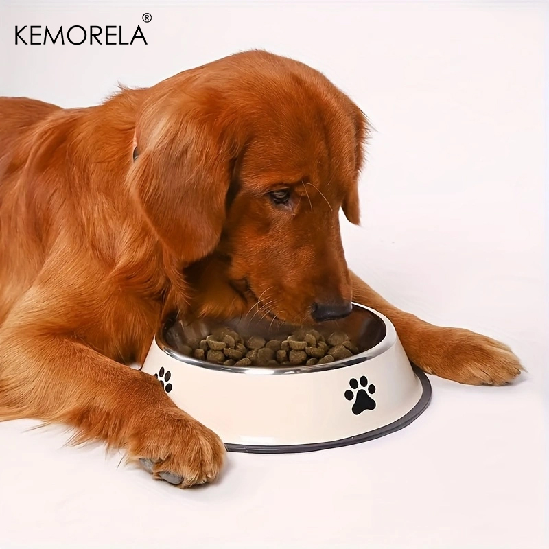 Stainless Steel Pet Dog Bowl F - огляд і ціна Dog Food Storage Xl