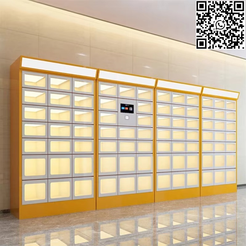 Custom Double Sided Locker Ele - огляд і ціна Lock And Lock Food Storage