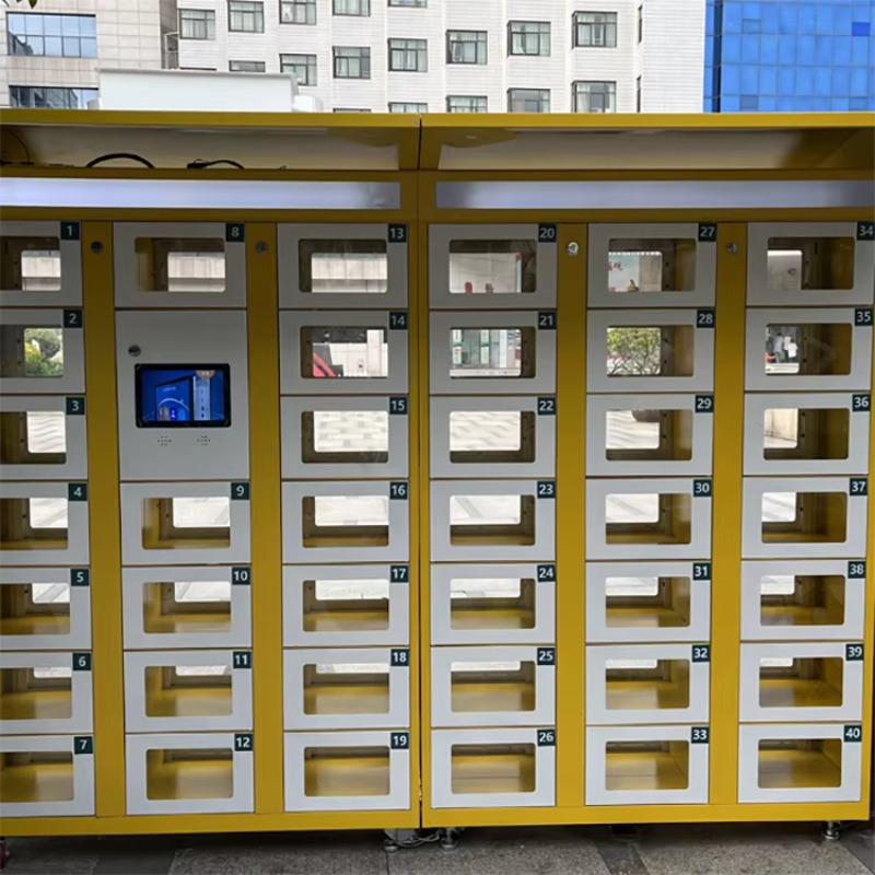 Custom Double Sided Locker Ele - огляд і ціна Lock And Lock Food Storage