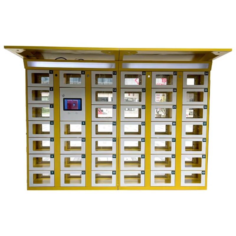 Custom Double Sided Locker Ele - огляд і ціна Lock And Lock Food Storage