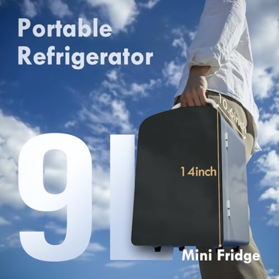9L Mini Fridge for Bedroom Car - огляд і ціна Portable Food Warmer